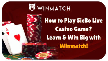 How to Play SicBo Live Casino Game? Learn & Win Big with Winmatch!