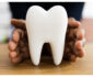 How to Maximize Your Dental Insurance Benefits Each Year?