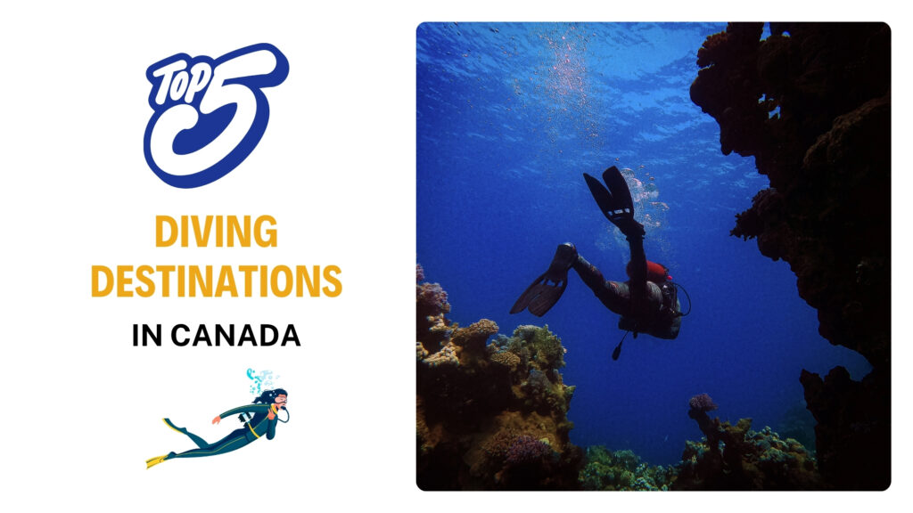 Diving Destinations in Canada