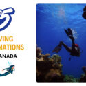 Top 5 Diving Destinations in Canada: Get to Know the Underwater World