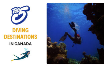 Top 5 Diving Destinations in Canada: Get to Know the Underwater World