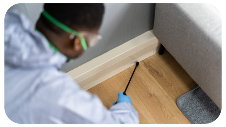 6 Hidden Pest Problems That a Pre-Purchase Inspection Can Detect