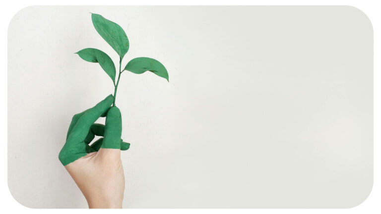 Beyond Greenwashing: Authentic Strategies for Businesses