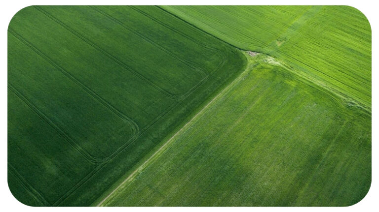 Strategic Land Investments: Approach to Maximizing Agricultural Profitability