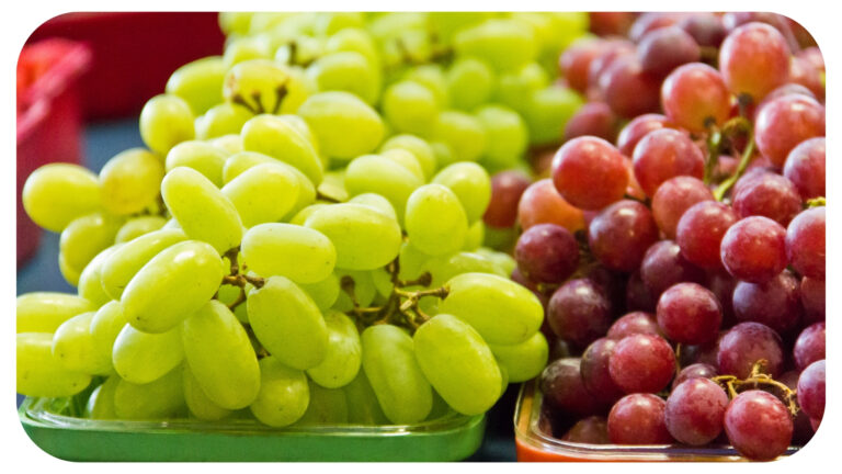 Love to Eat Grapes? Limit Grapes Intake to Avoid Chances of Diarrhea
