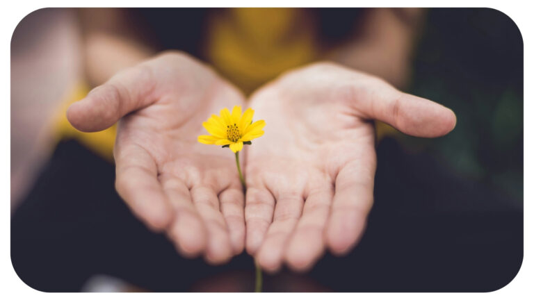 The Power of Aparigraha: Simplifying Life in a Complex World with Jain Teachings