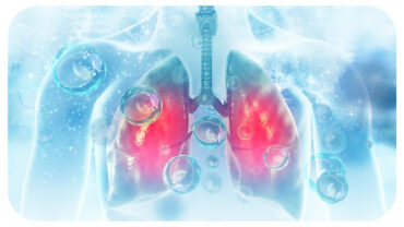 5 Diseases That Affect Your Lungs 5 Diseases That Affect Your Lungs