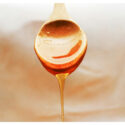 Honey for Health: Unpacking Its Natural Healing Properties Honey for Health: Unpacking Its Natural Healing Properties