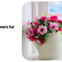 Reasons to Purchase Faux Flowers for Your Home Reasons to Purchase Faux Flowers for Your Home