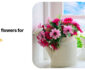 Reasons to Purchase Faux Flowers for Your Home