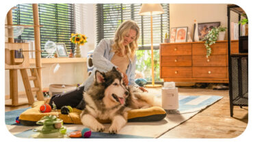 Heusom’s Insights on Redefining Pet Grooming Through Quiet Innovation Heusom’s Insights on Redefining Pet Grooming Through Quiet Innovation