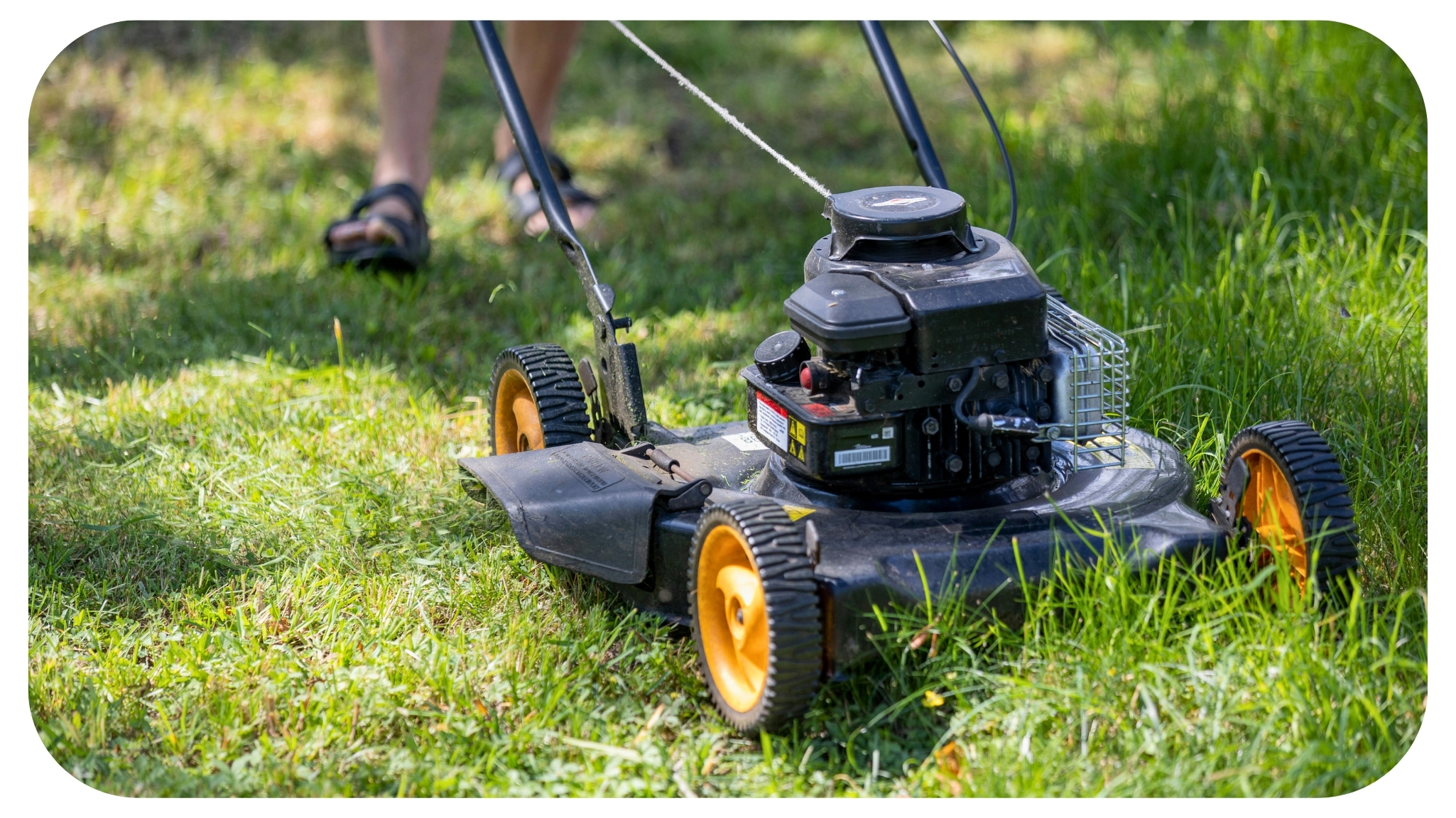 William Maclyn and Murphy Eick on Maintaining a Healthy Lawn Through Every Season