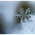 How You Could Make Your Home More Comfortable in the Winter How You Could Make Your Home More Comfortable in the Winter