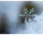 How You Could Make Your Home More Comfortable in the Winter