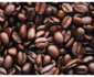 Matching Coffee Beans to Your Brewing Method