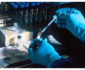 Dr. Michael Johnson on the Power of Genetic Testing in Functional Medicine