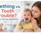 Teething Vs. Tooth Trouble: How To Tell The Difference
